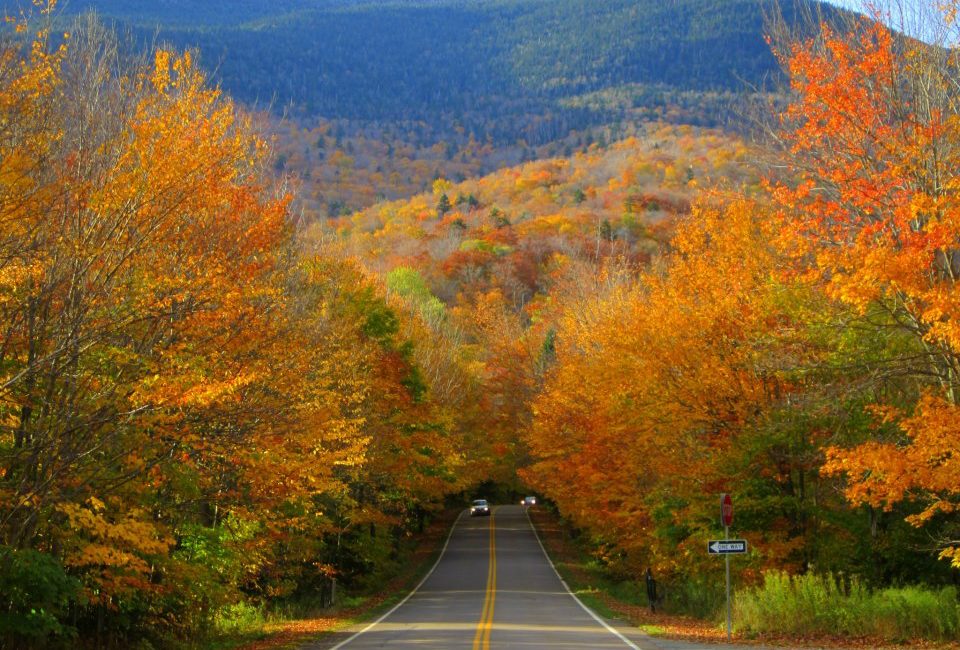 Autumn Foliage In Elmore State Park In Vermont Stock Photo 